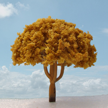 model trees